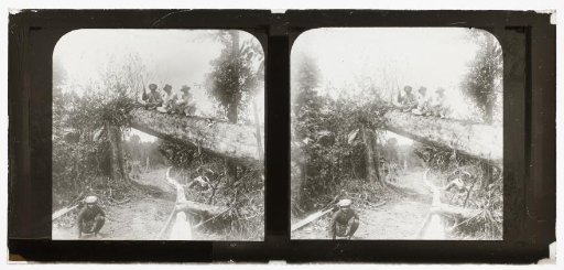 Three Dutch men on a log at Halaban, a crouching Indonesian man on the left