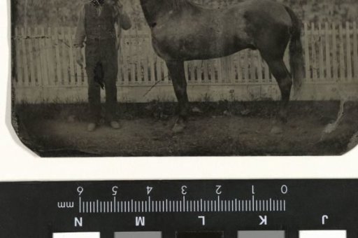 Man and horse (the face of the man is scratched out)