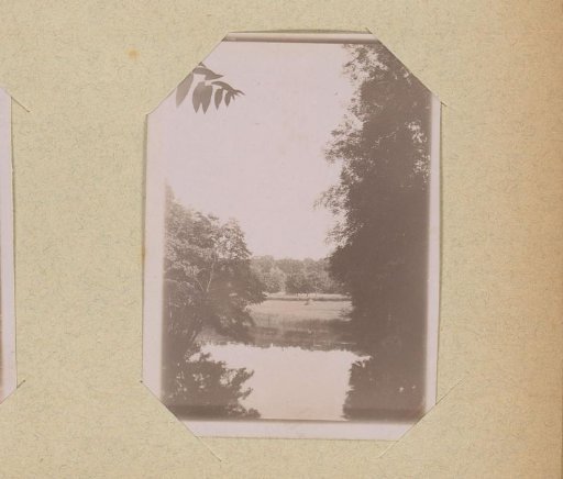 Pond or lake among trees