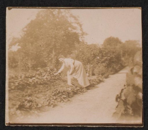 Woman in a garden