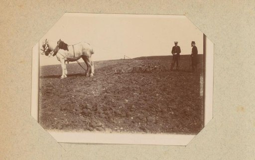 Two men with a horse and a plough