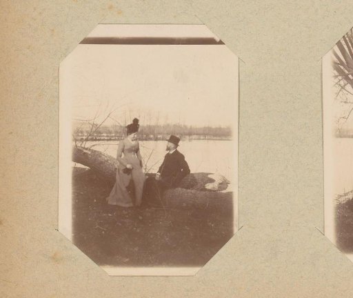 Man and woman by felled trees by a river
