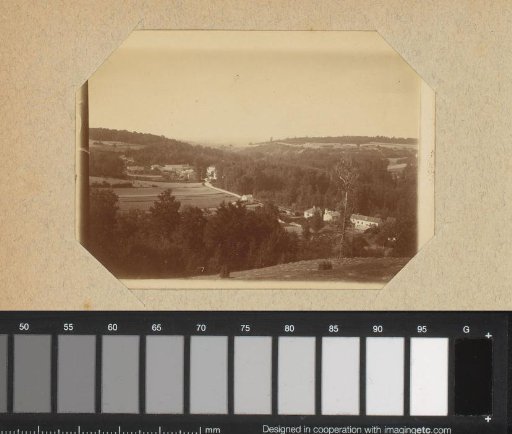 Landscape with forests and fields
