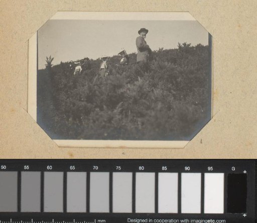 Men and women standing among bushes
