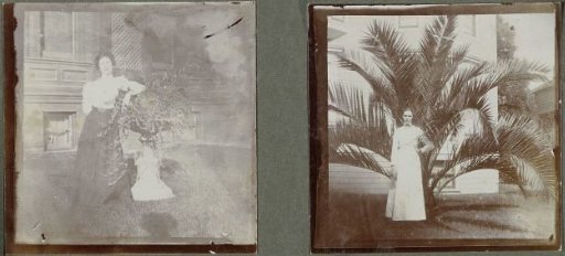 Portrait of a woman by a palm tree, United States