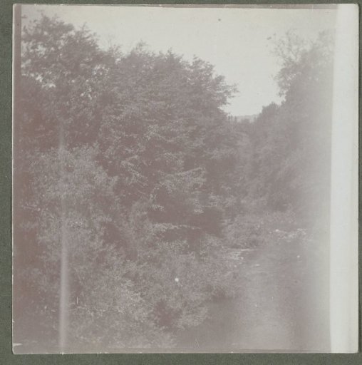 Building of Pleasant Island Camp at Cupsuptic Lake, Maine