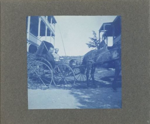 Man and woman in a carriage with a horse, United States