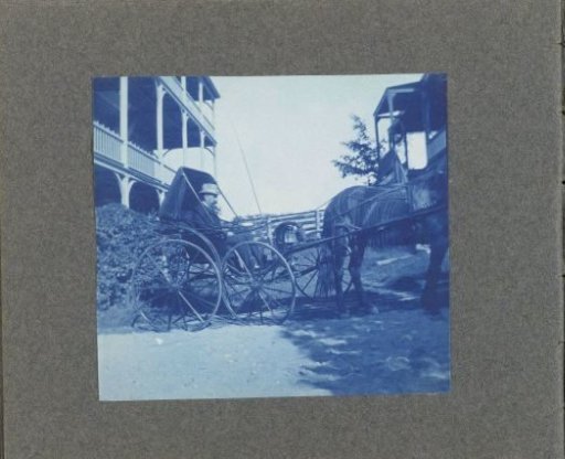 Man in a carriage with a horse, United States