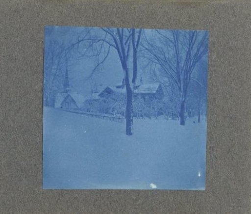 Trees, houses and church in the snow, United States
