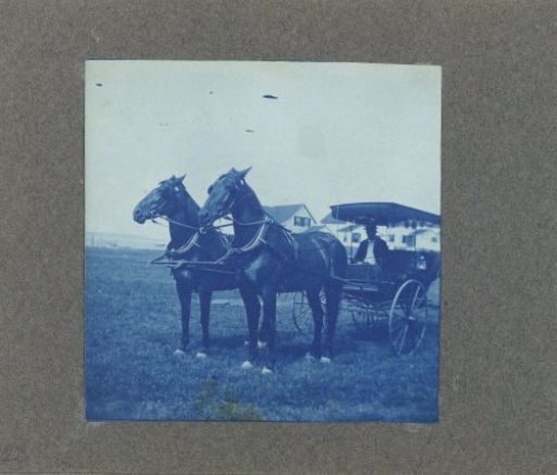 Man in a carriage with two horses, United States