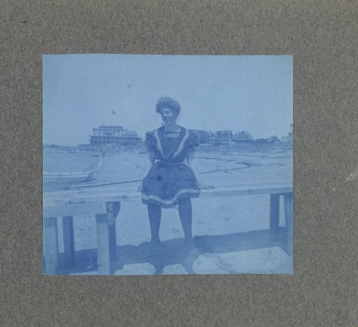 Young woman sitting on a fence at the beach, United States