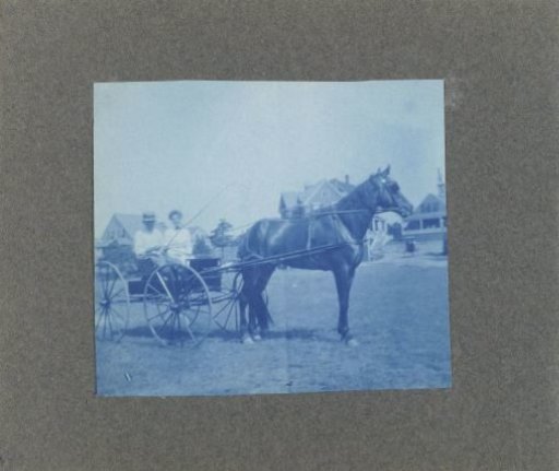 Man and woman in a carriage with a horse, United States