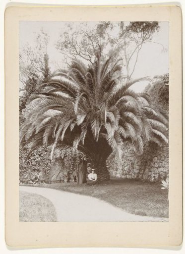 Two women under a palm tree