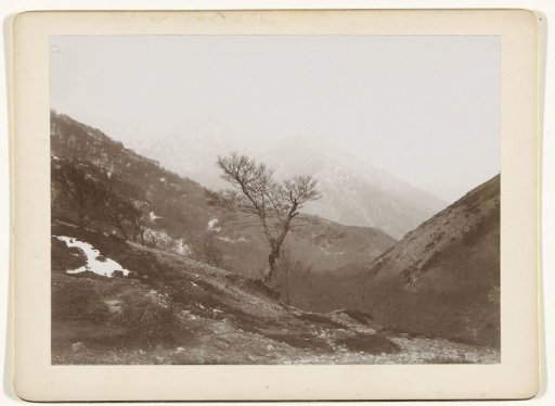 Mountain landscape with a bare tree and some snow, Italy or France