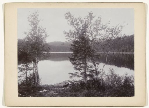 Trees by a lake (Norway?)