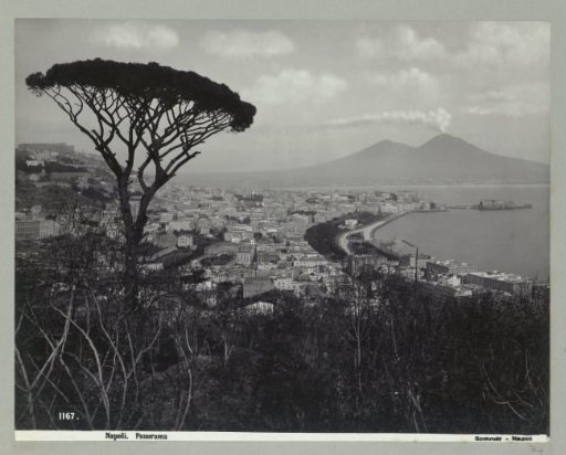 1167 Naples panorama