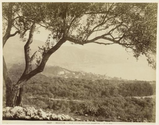 View of Menton and surroundings seen from Cap Martin
