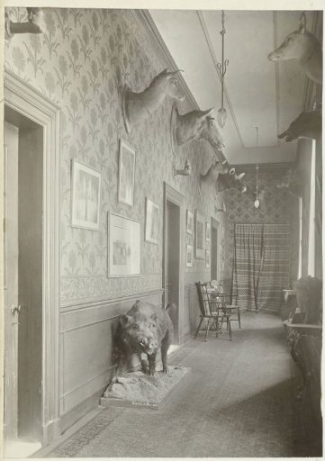Hall of the Country House De Wildbaan, Driebergen, with Hunting Trophies