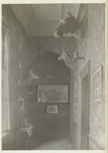 Hall of the Country House De Wildbaan, Driebergen, with Hunting Trophies