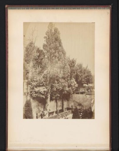 View of the Patio del Ciprés de la Sultana in the Alhambra, Granada, Spain