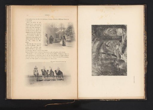 Four men on camels, seen from behind, near Biskra, Algeria