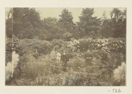 The friends of Dolph Kessler in the undergrowth of a forest near Gainsborough
