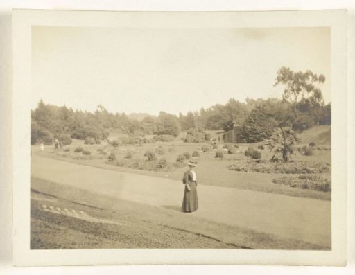 The Golden Gate Park