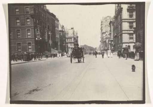 5th Avenue