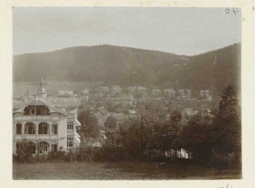 View of a town in the Harz against the backdrop of a mountain landscape
