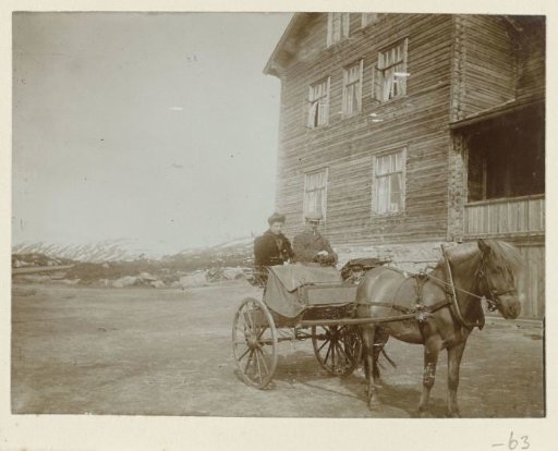 A couple in a carriage in front of a wooden house