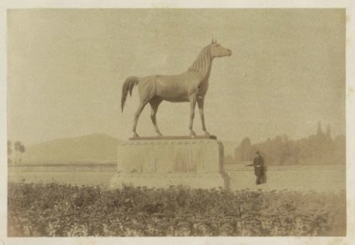 Man posing by a statue of a horse, probably in France