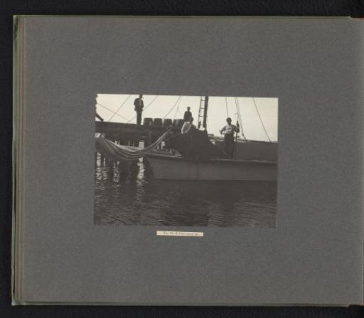 Captured devil ray being hoisted aboard