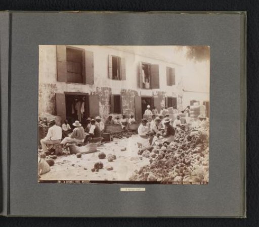 Workshop where sponges are sorted and packed, Nassau
