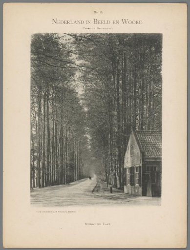 View of the Middachter Laan in Ellecom
