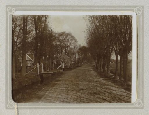Cobblestone road with trees, houses and access gates