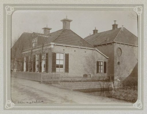 Residences with poplar trees in Scharnegoutum