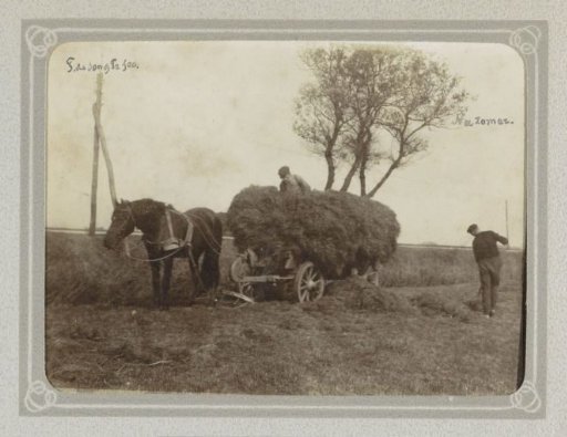 Haymaking peasants with horse and cart