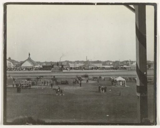 Horse racing track