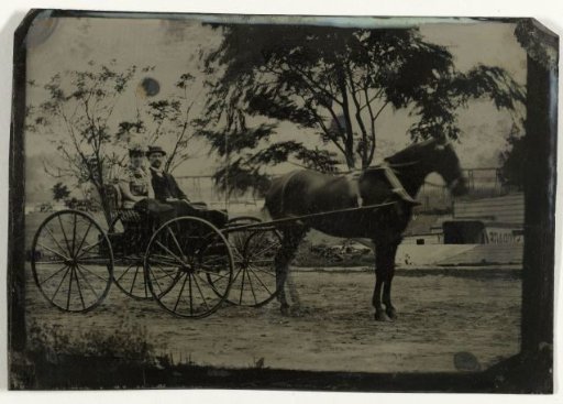 Man and woman in a carriage with a horse in front