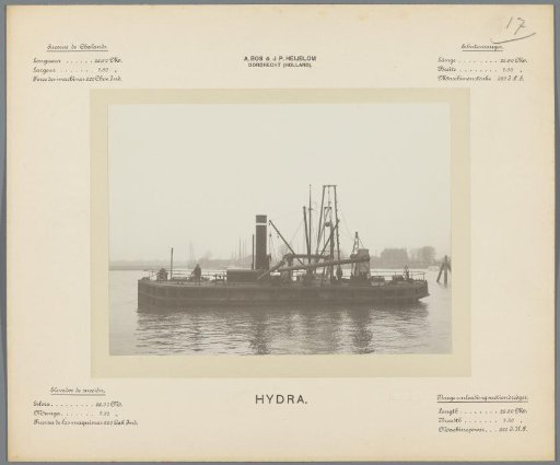 Hydra