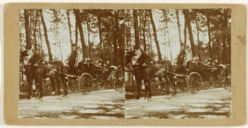 The Couple Ten Cate in a Carriage