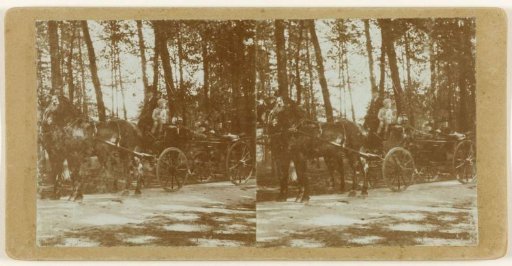 The Couple Ten Cate in a Carriage