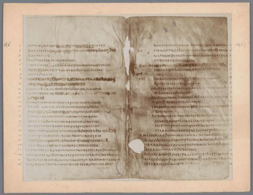 Page from a Manuscript