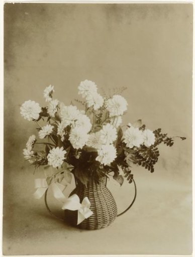 Dahlias arranged in a flower basket by Mr. B.H. Wagenvoorde