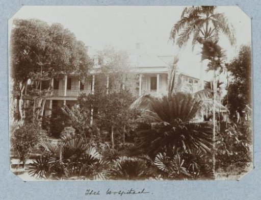 The Hospital