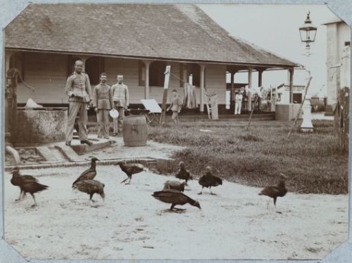 Stinkbirds / The Cleaning Service