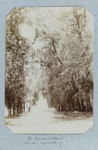 The Tamarindelaan (during the rainy season)