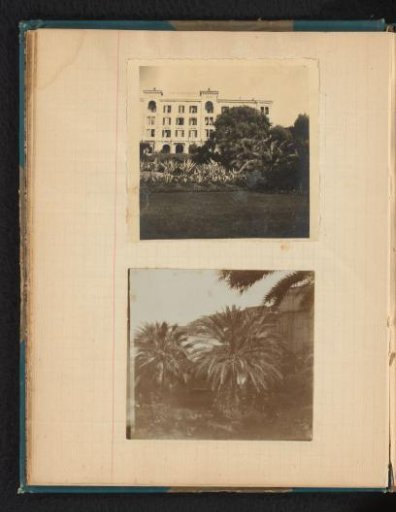 View with Palm Trees Seen from the Former Hotel Schweizerhof in Ajaccio, Corsica