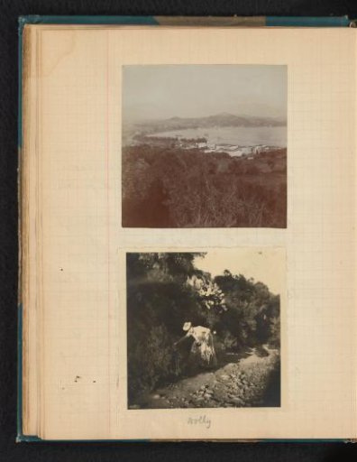 View of Ajaccio and Dina (Dolly) Amelia van Emden picking branches from a bush