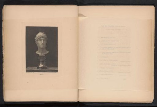 Sculpture of the Head of David by Charles van der Stappen
